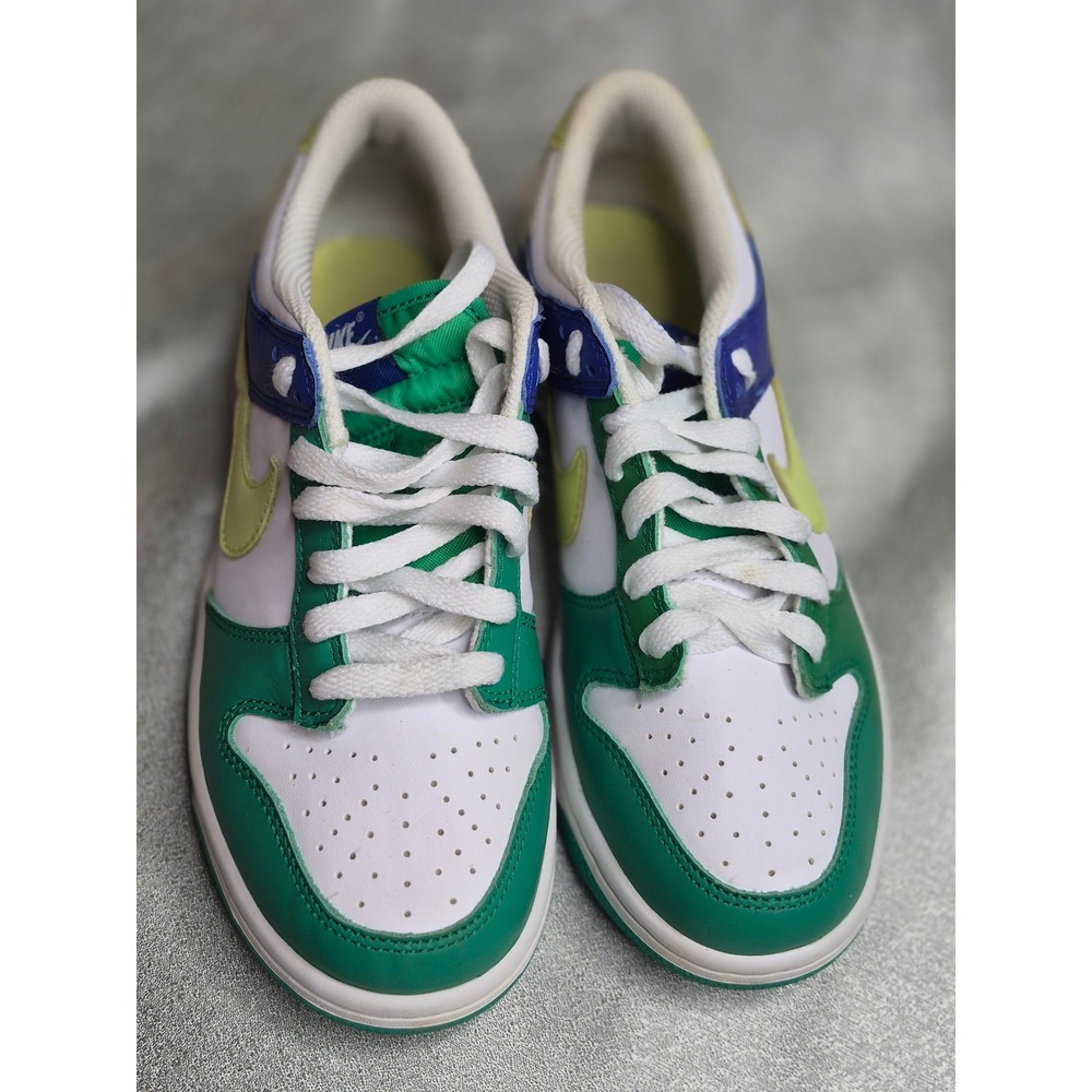 Nike Dunk Low Kids 5Y Green Blue White Excellent Multi-Color Leather FN6973-100
